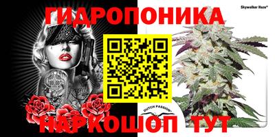 спиды Кимры